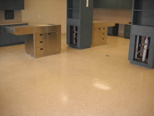 epoxy floor dallas animal hospital